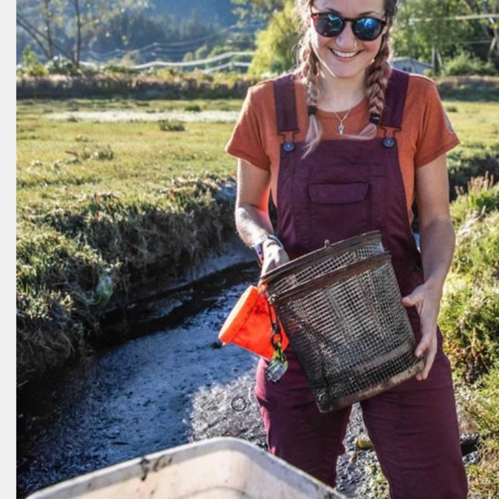 Dovetail Workwear Overalls - Picture 9 of 15